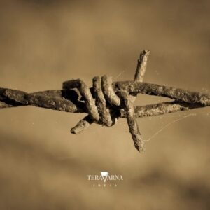 barbed wire