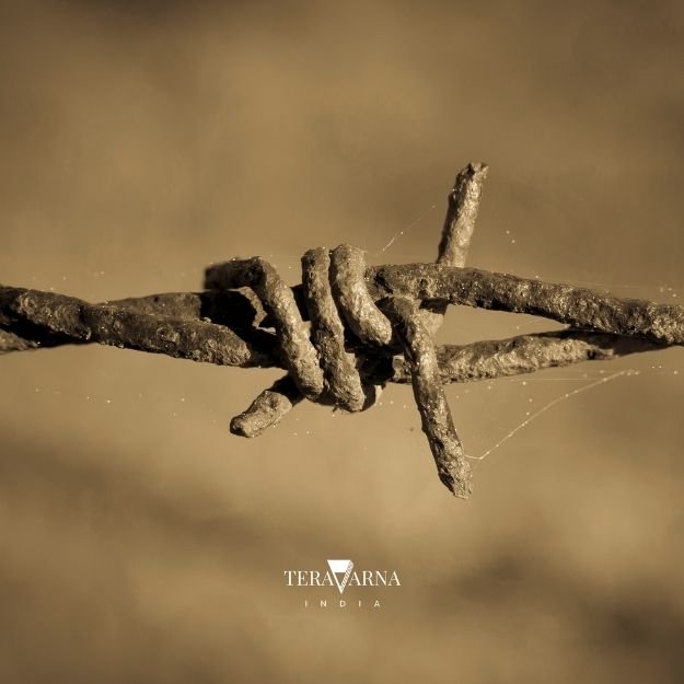 barbed wire
