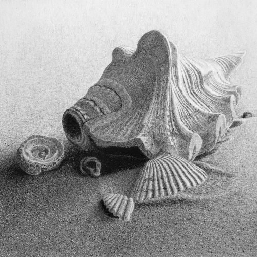 08b9a4_66249f1c57ac4a1aa7173c51054e85a2mv2