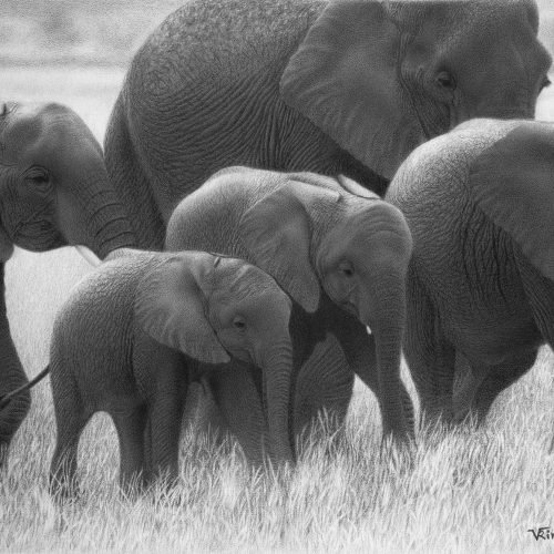 08b9a4_901e3d0b8ea740ffbc05a33657012c85mv2