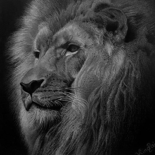 08b9a4_fc02e9d694844b4888c999afec4f1dbdmv2