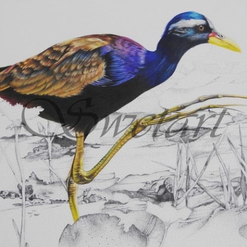 0bc373_482404bf9d5f40a68573df3719aca50fmv2