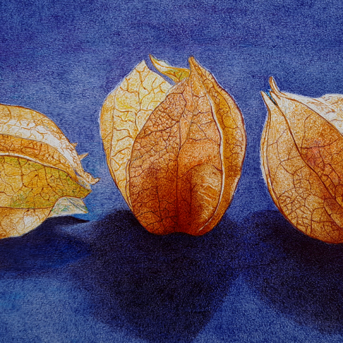 0ddcfa_2805e2d654c846c28b058eaf1aead705mv2