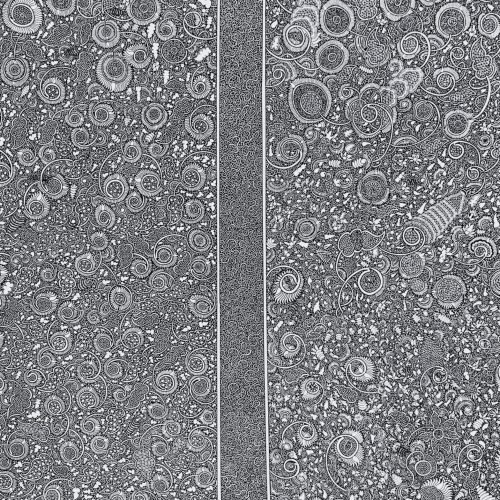 154555_254addb66b7d458a97a85d51a95dd6f3mv2