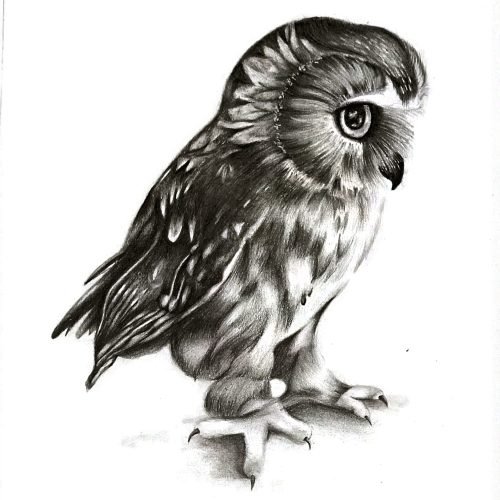 19dba3_74c7ab567bb34488ab60f6a1541773cbmv2