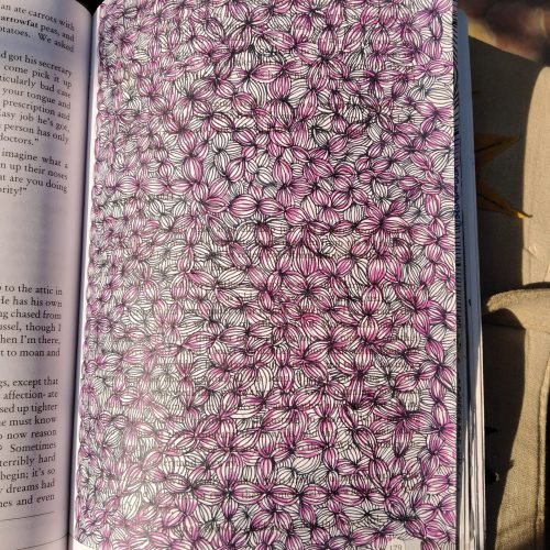 206310_b08101d671114ee1bca15a661a4ecf36mv2