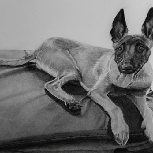 24c937_6ddd0eb9a515494abacb936bfcbb5683mv2