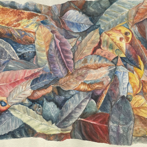 299d6f_4bd13b6cb54048ce82a1b6454149c455mv2