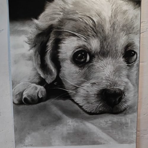 2f0ffa_28c75ddeaba04a63a4de086bc7dc52b9mv2