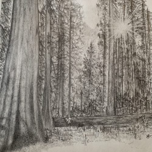 30cd2c_f1118d85a4c24ec380d94675e4279fc8mv2