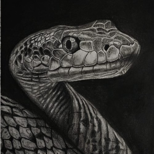 36b927_c037284aeadd47818f50c789c4b455dbmv2