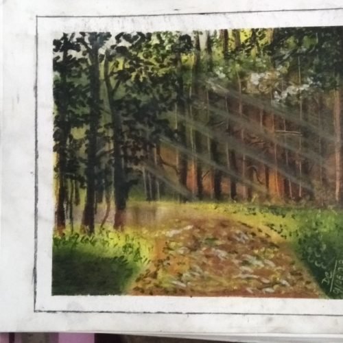 3c0049_665932675da04520b2bd0446f919184cmv2