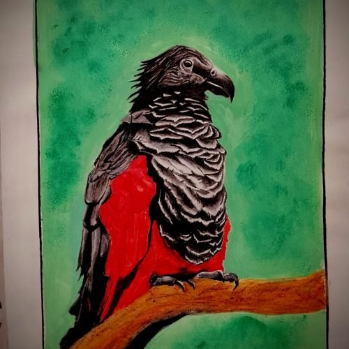 4a598c_ed9e2f6aef7b46b4a09e58baba705828mv2