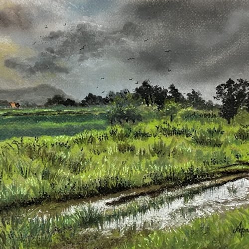 4ae32e_21271f73132f46a18248bc20bb581303mv2