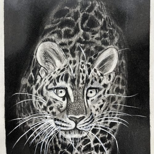 52e6ad_0b697847bf9e4ef08ca2c58390f6858dmv2