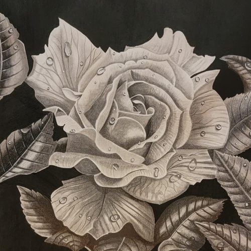 52e6ad_190e00d4a7204081b755847dc0f830b3mv2