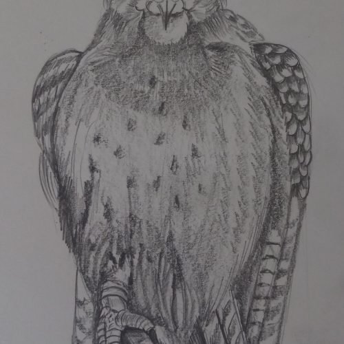 52e6ad_22abc6b7632148f19d6101ea1bf8e639mv2