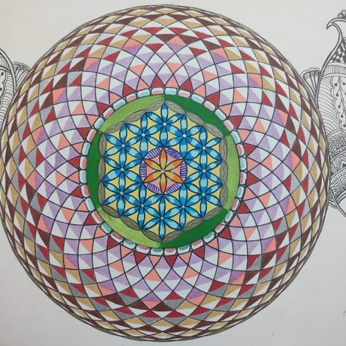 52e6ad_5ffd64eaf0624313971b2d21ef287e41mv2