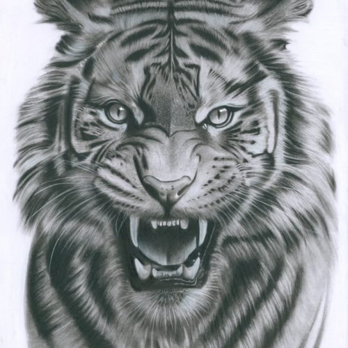 52e6ad_806e392ba1c14bf7ba7c4b121019e4efmv2