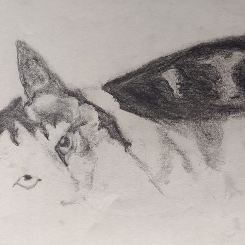 52e6ad_a926686fa0f24d18b770fb0af2067507mv2