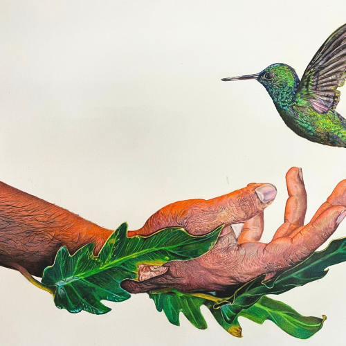 52e6ad_b37afd23b4754e6399199e51f92acaa7mv2