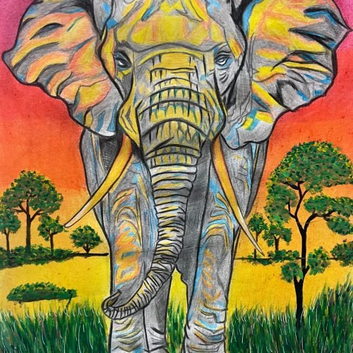 52e6ad_c4ed38999d2b4db68fb52d08b4e6a4bemv2