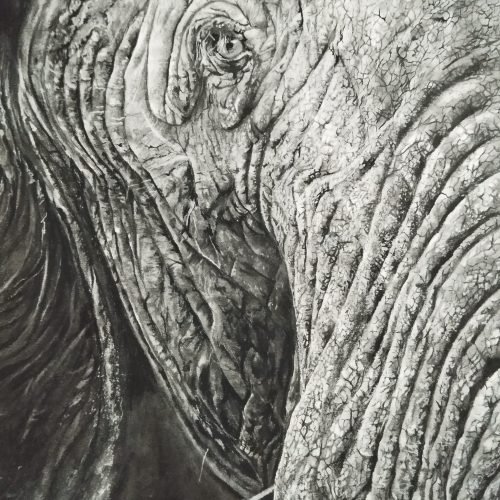 52e6ad_e2f486edef5f4410a38c5091be09a61bmv2