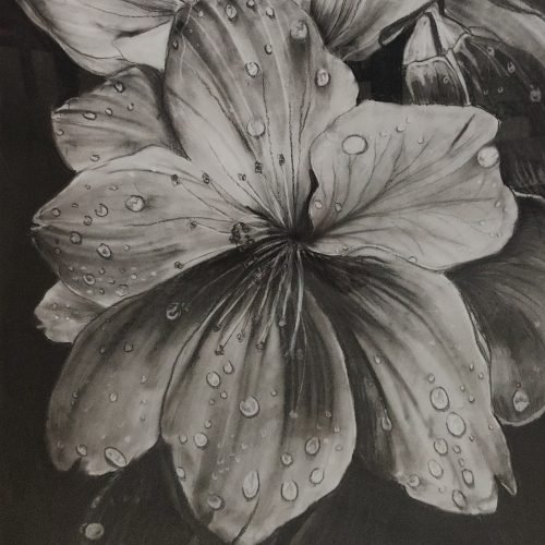 52e6ad_f848448e3fb443e0ab09aa3479cf5332mv2