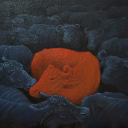 539001_5724d32b351b4dbeaf6556c6dd990075mv2