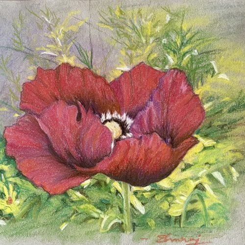 68c2f5_1da98e531a4445e79096276f5a19f78emv2