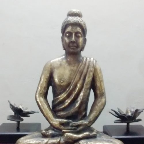 6ebe7e_62f3bcdbd655474bb34d3d9bfcdf456emv2