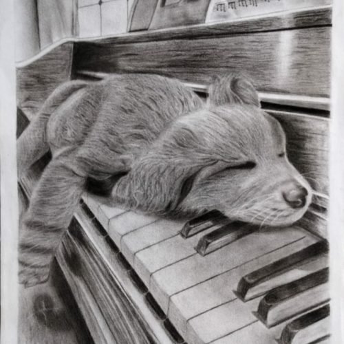 741ac0_ed9050e39da749649d74559e152fe0admv2