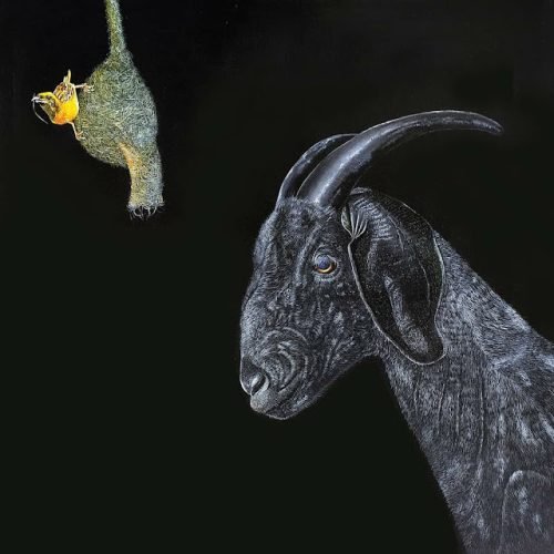 7464d4_2297ba5168804f4bb92099ee2f37ebf0mv2