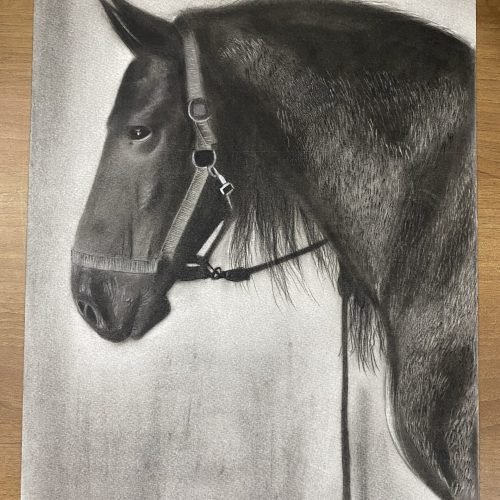 7ea828_9c658d3086c747c89499ab3b14331e76mv2