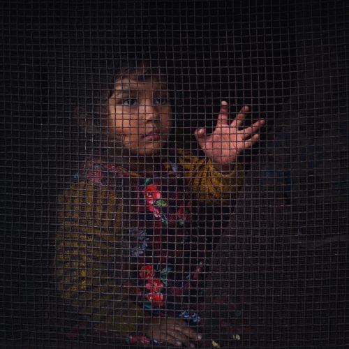 897536_1e6c0137e6464092a8048c23e2297200mv2