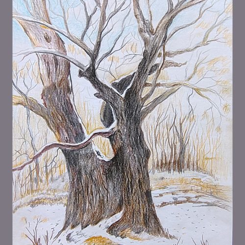 8e3a1c_5c514178786e43a184ef4451a994a805mv2