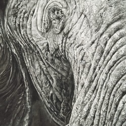 9673bd_b25ec5e5f04042d58998f6a79c3bc8cdmv2