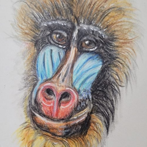 9787b3_2cf52189d706466b92aad28a7822979emv2