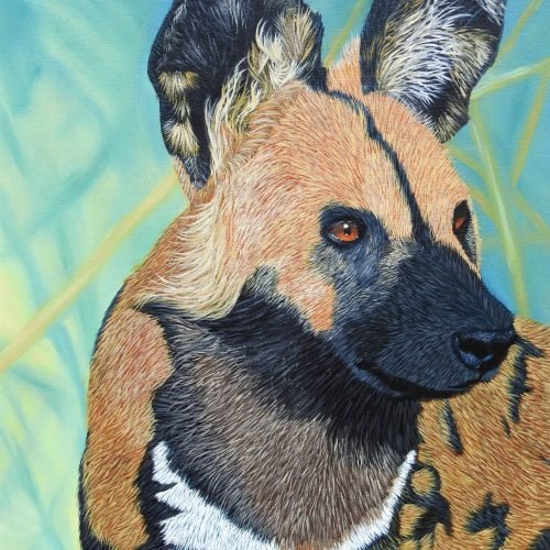 99a84a_418e99962b7f4ec4a582c8a308b91366mv2