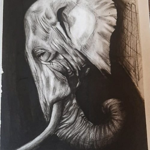 9aea34_9f139190b4c5474192e28562a1c3b05cmv2