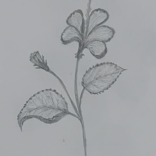 9da2b9_a535322d3818491d99b1f29cf282329cmv2