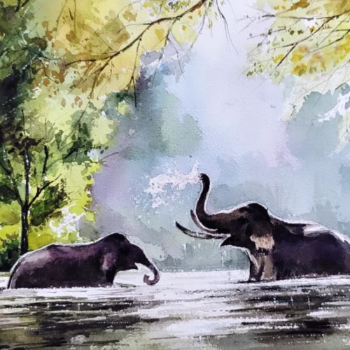 a60bdc_4bfadcf6c2d24d748dcaef7c1244efe4mv2