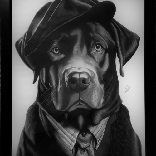 b764a6_384899cd429b4ee589b9a82dae9d8c1amv2