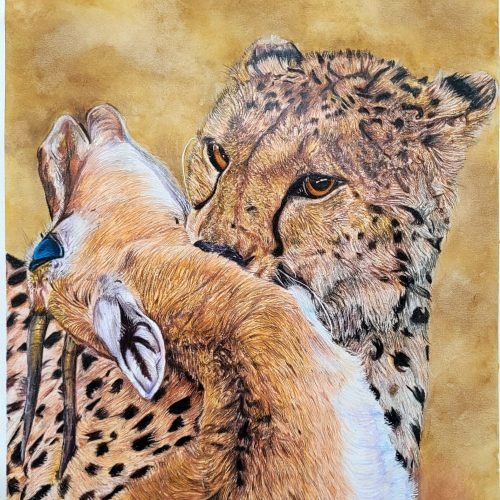 ce4c8a_3baf9bd1341046dcb475e5a86e8c97b0mv2