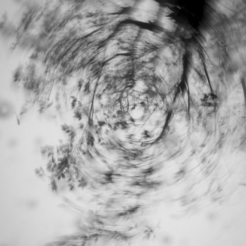 d3ed39_62c9a2b80c7b477199edb7c06cdeecfcmv2