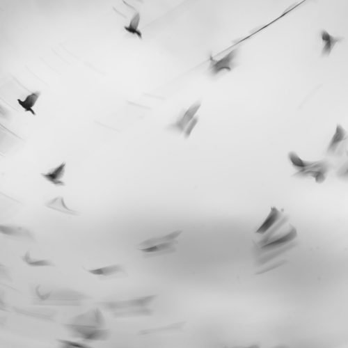 d3ed39_e7020139414142a8a0106bba1350f0b7mv2