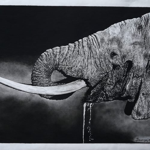 d7ac5b_7d6f90aaa4c84f0cb2b793182f773532mv2