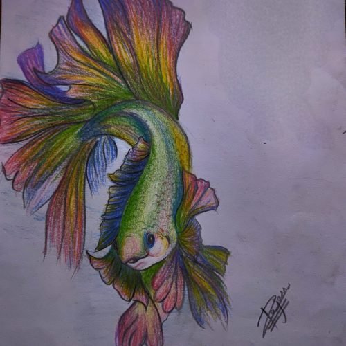 d7b089_afdac1c4cb8a442e98197c8ad50944d8mv2