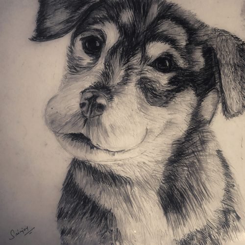 d97394_946fec087b3d4c83af9af756d812dfd6mv2