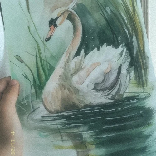 e0cb15_fa677259916a43eeb316d9d48381484emv2